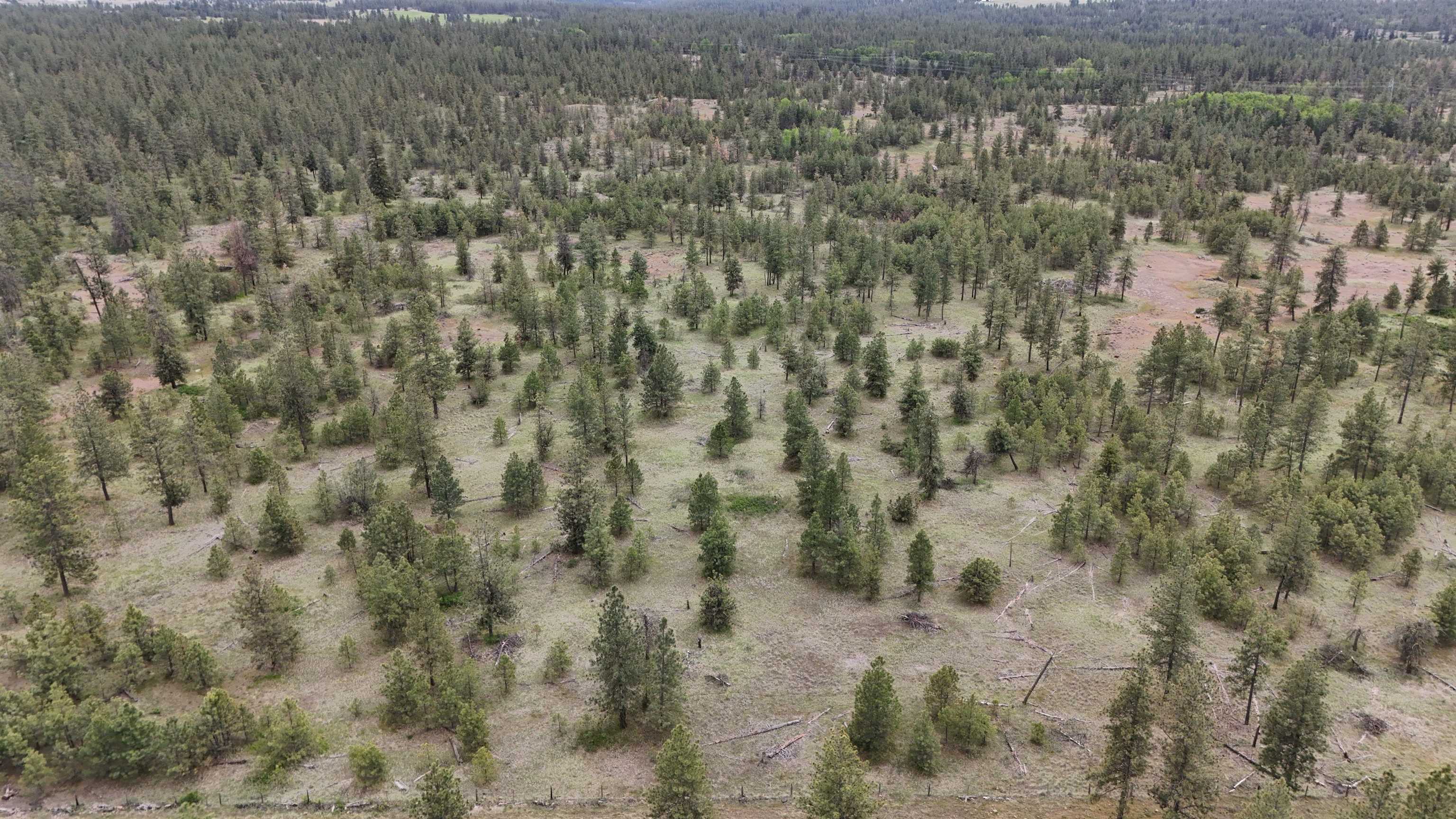 xxxx W Vacant Land Rd - Photo 8