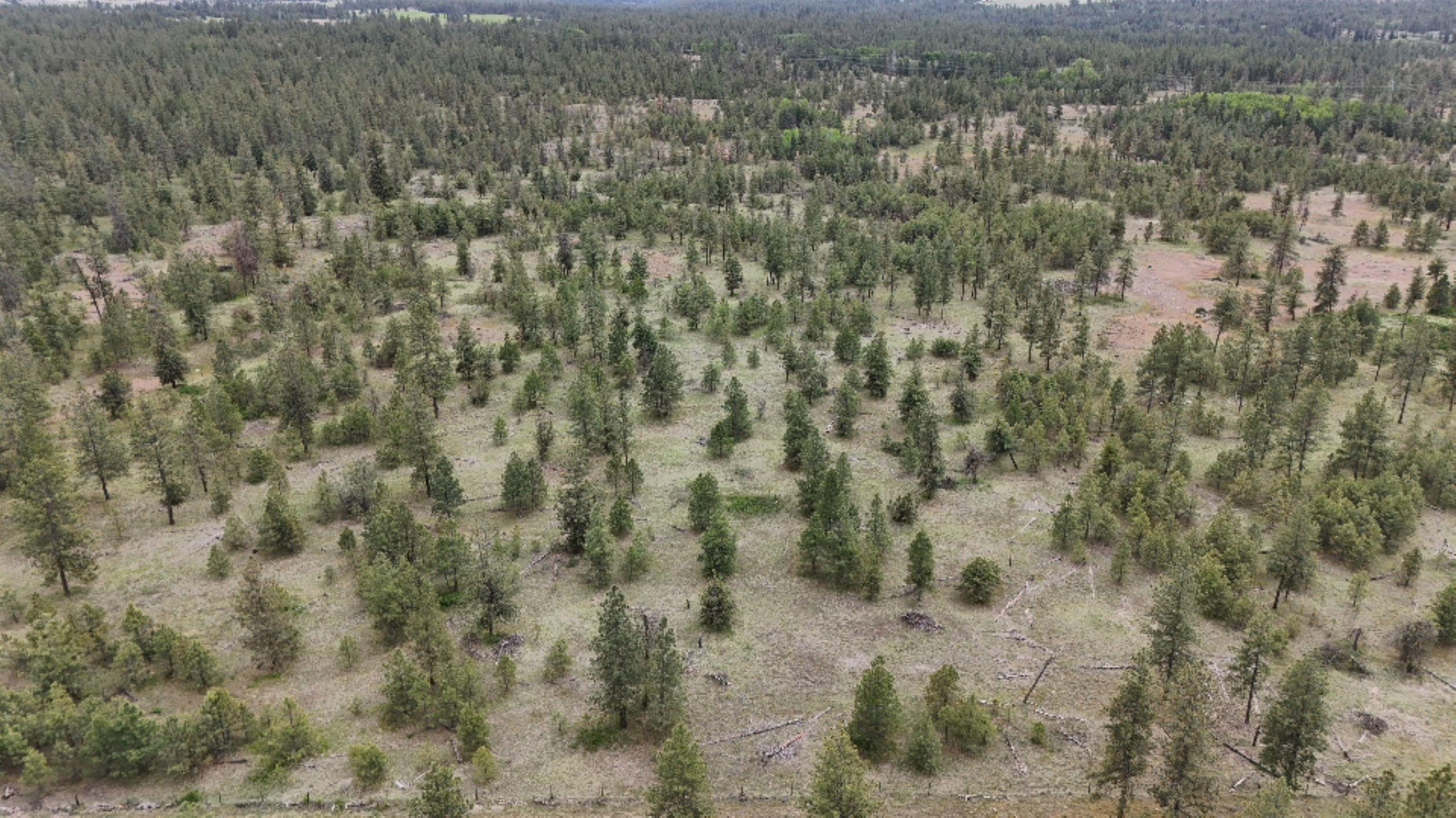 xxxx W Vacant Land Rd - Photo 9