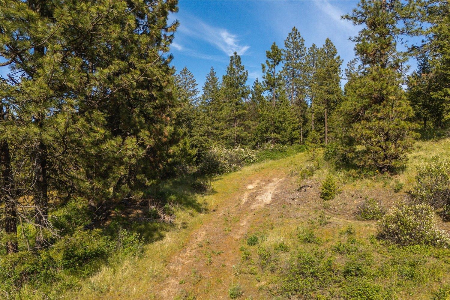 7600 W Bernhill Rd - Photo 12