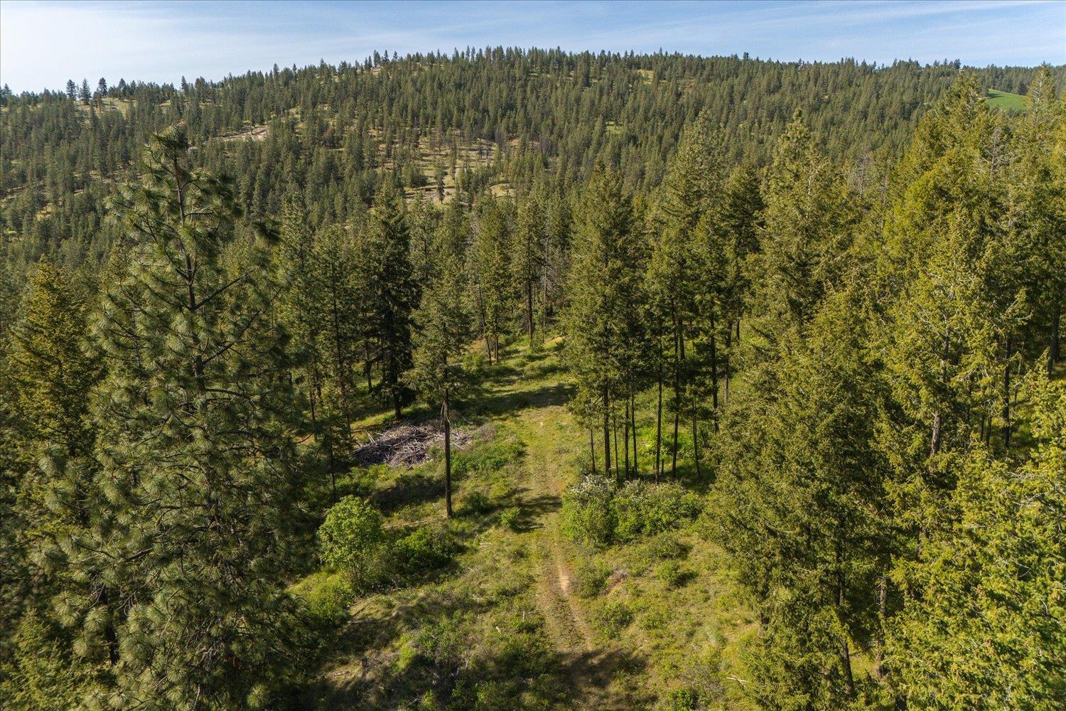 7600 W Bernhill Rd - Photo 6