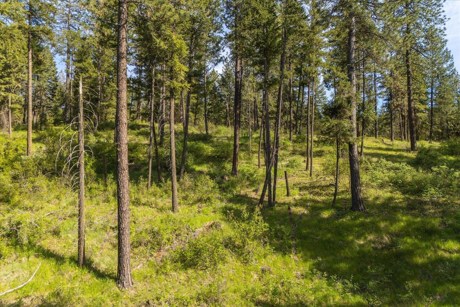 7600 W Bernhill Rd - Photo 8