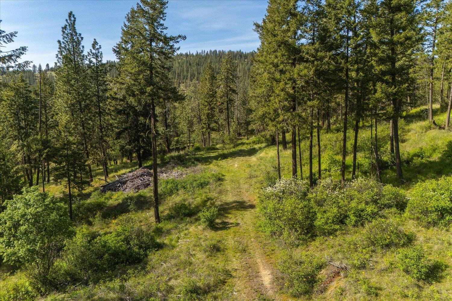 7600 W Bernhill Rd - Photo 9