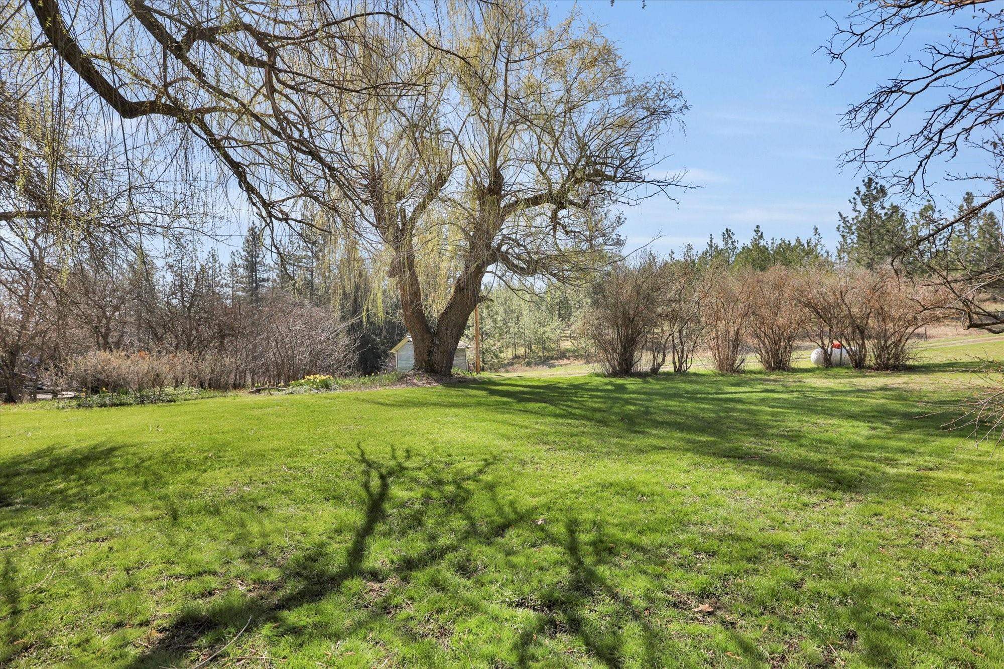 16812 W BIG SKY Ln - Photo 18