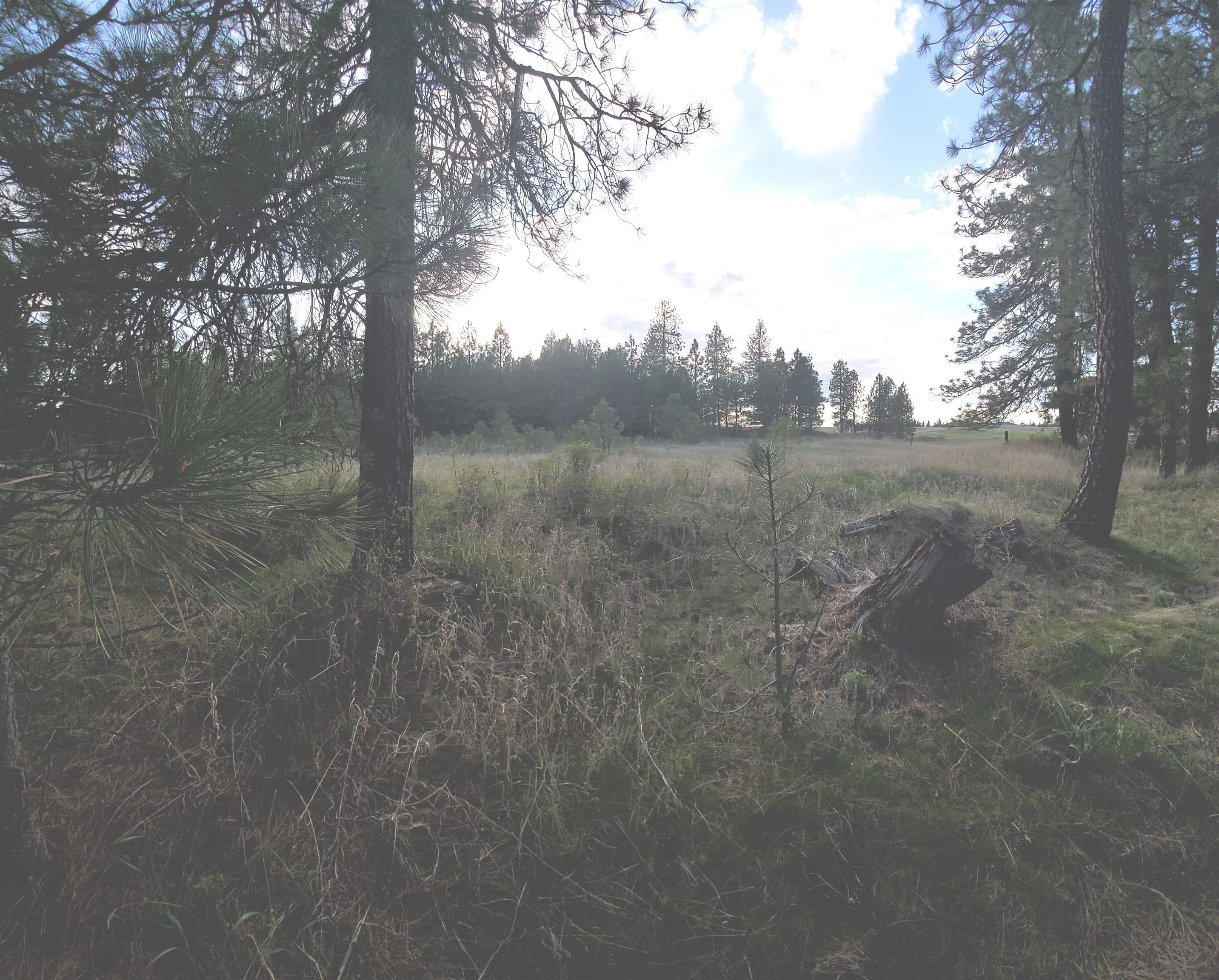 16812 W BIG SKY Ln - Photo 20