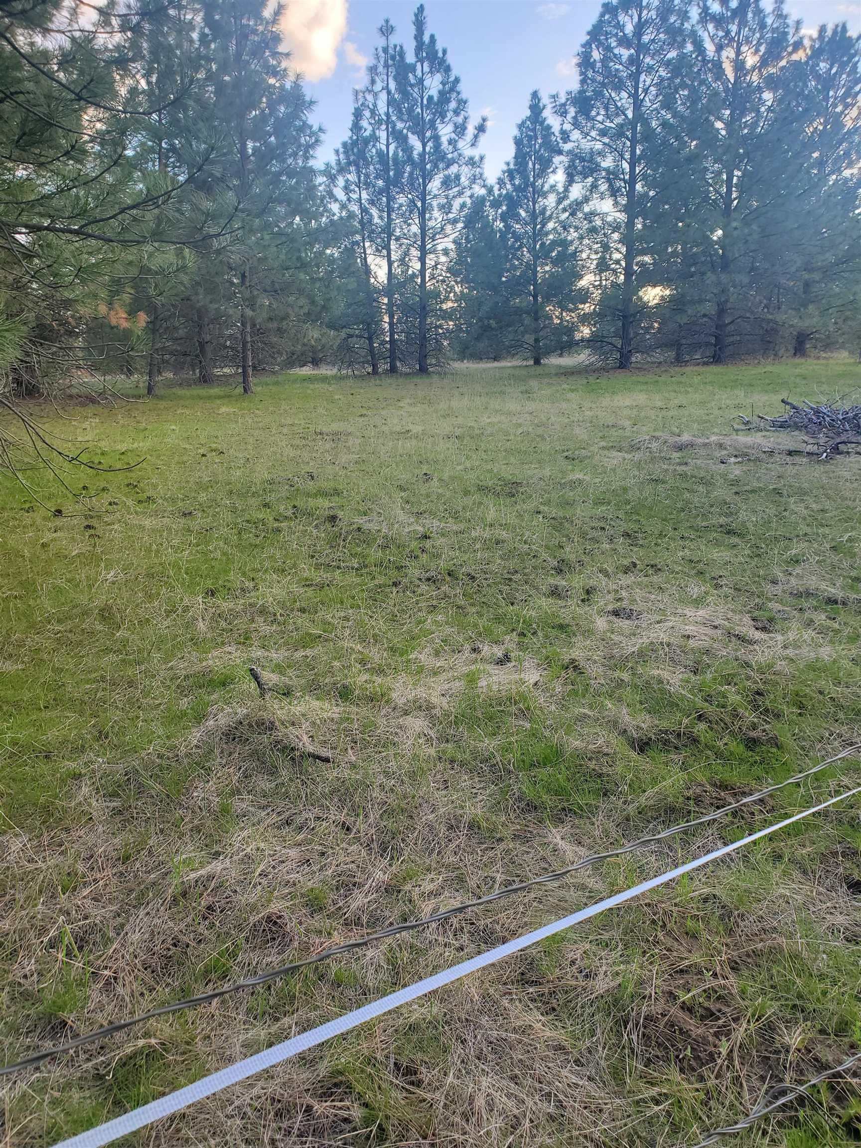 16812 W BIG SKY Ln - Photo 22