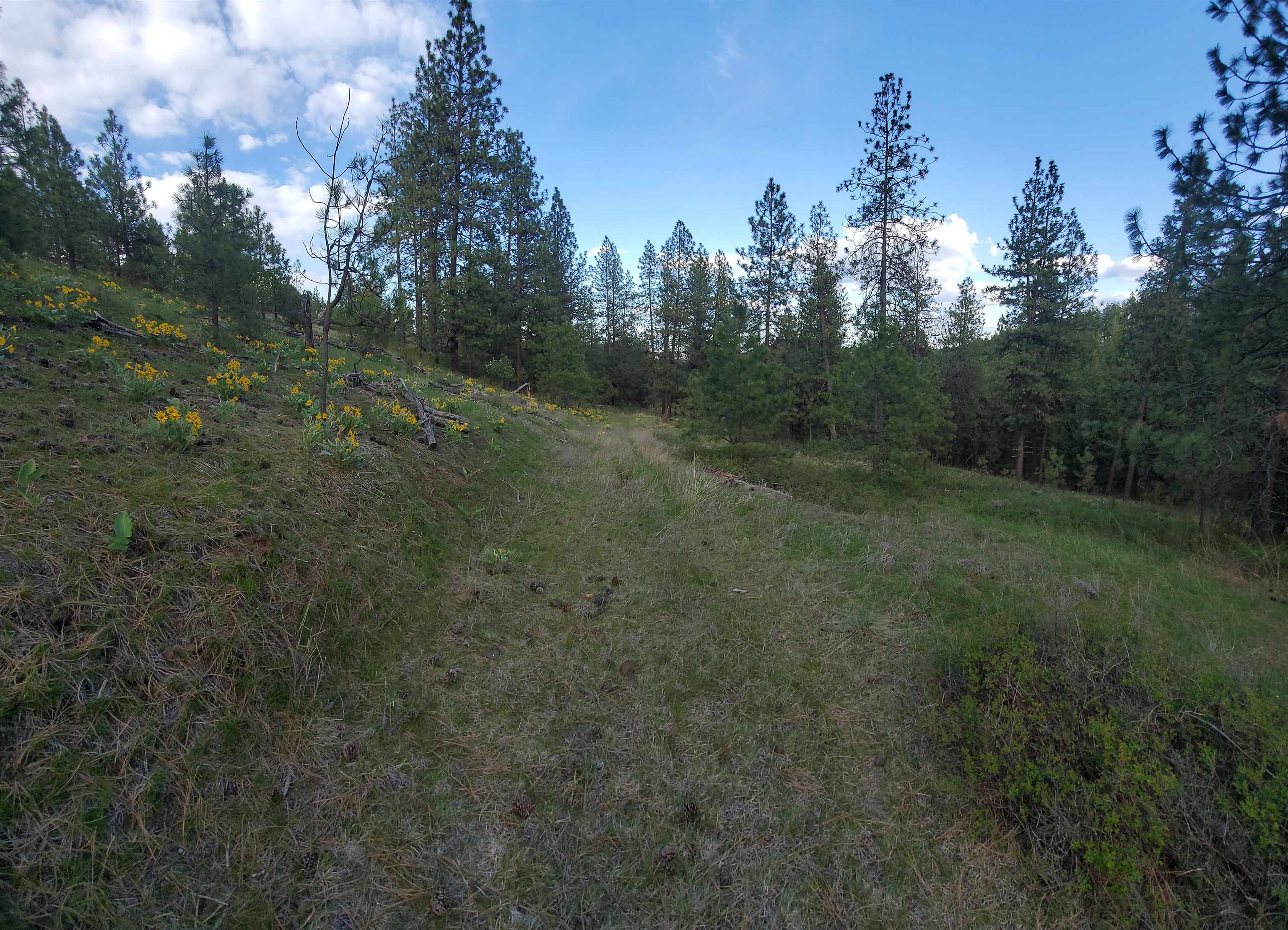 16812 W BIG SKY Ln - Photo 24
