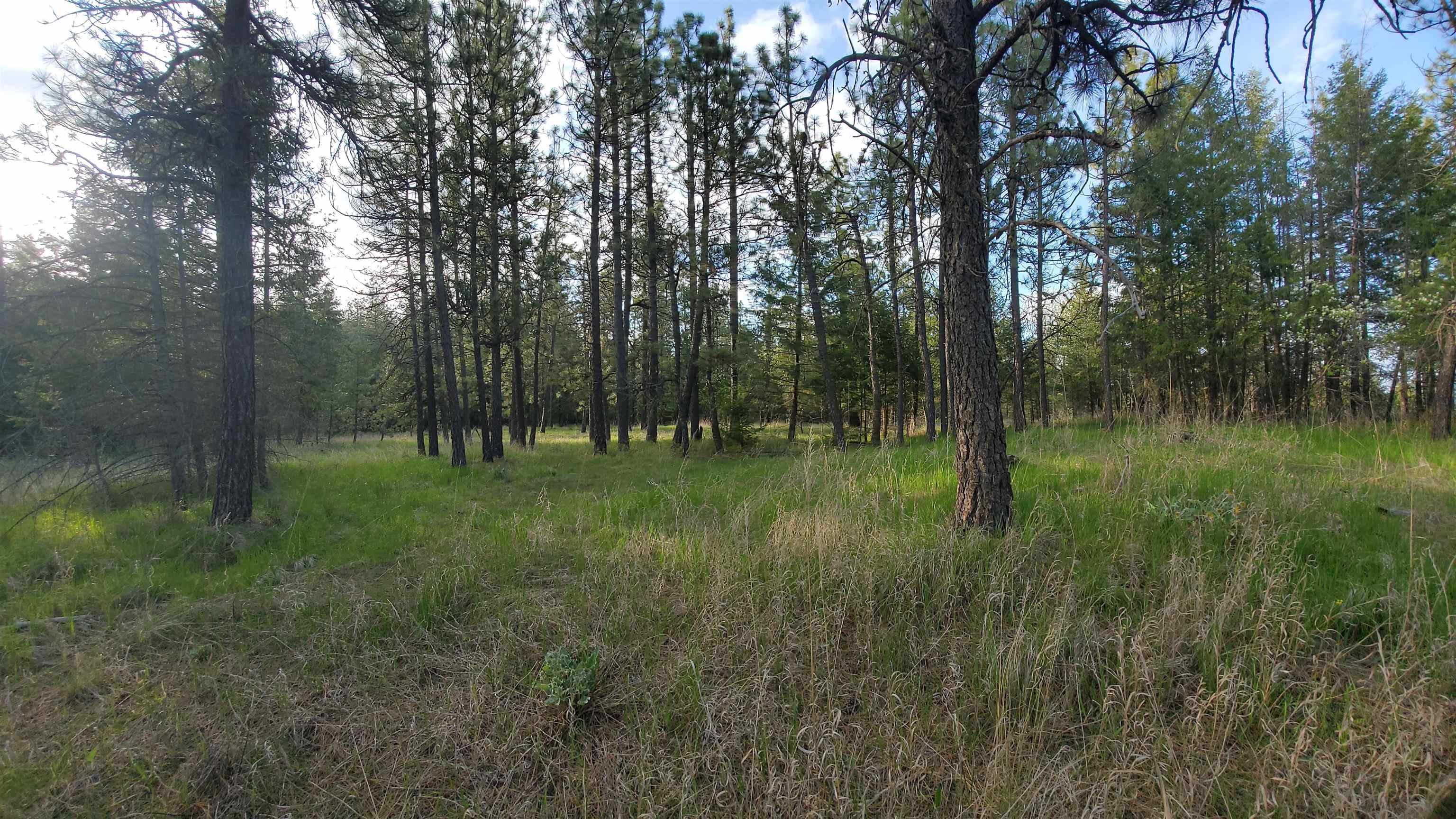 16812 W BIG SKY Ln - Photo 26