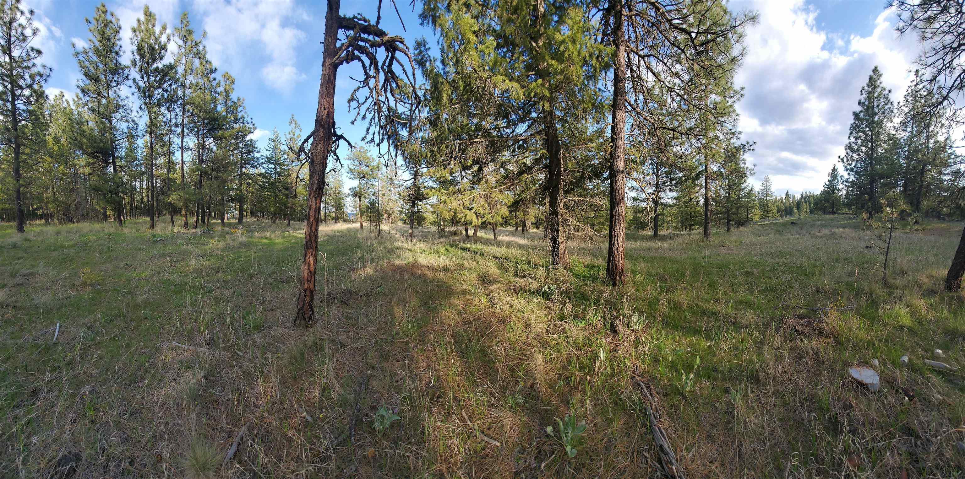16812 W BIG SKY Ln - Photo 27