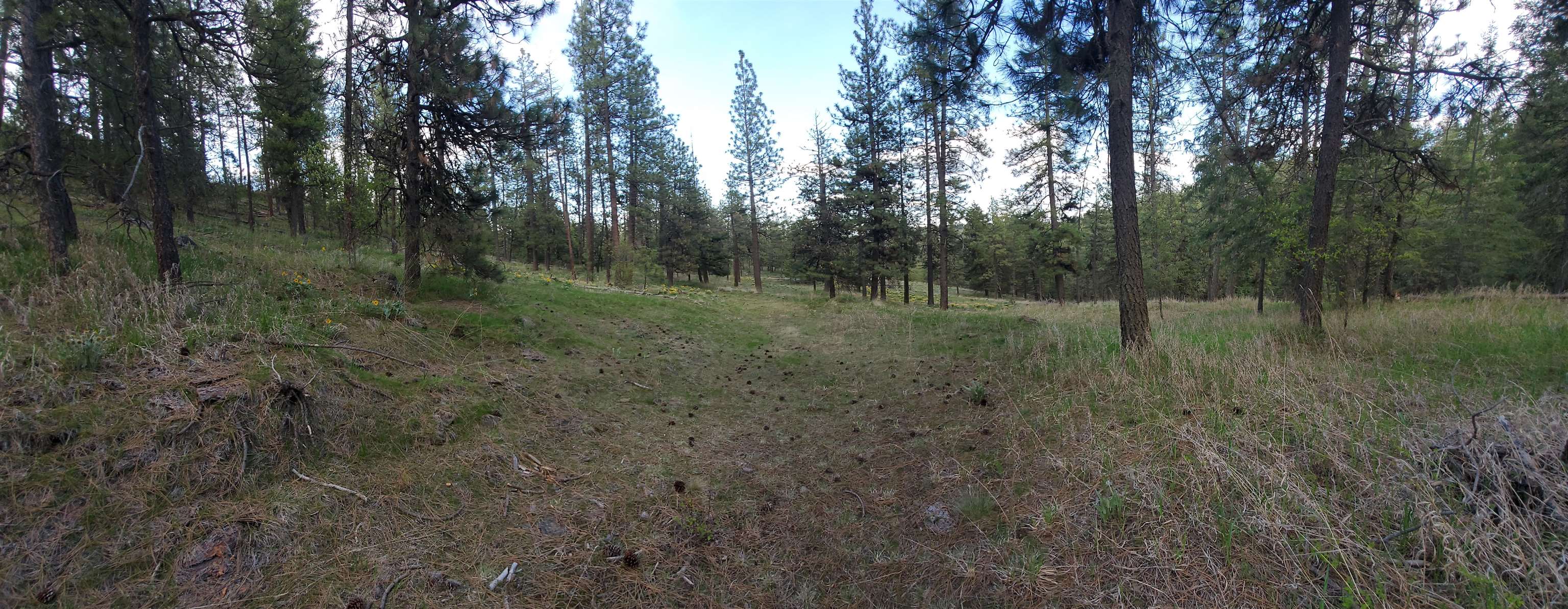 16812 W BIG SKY Ln - Photo 29