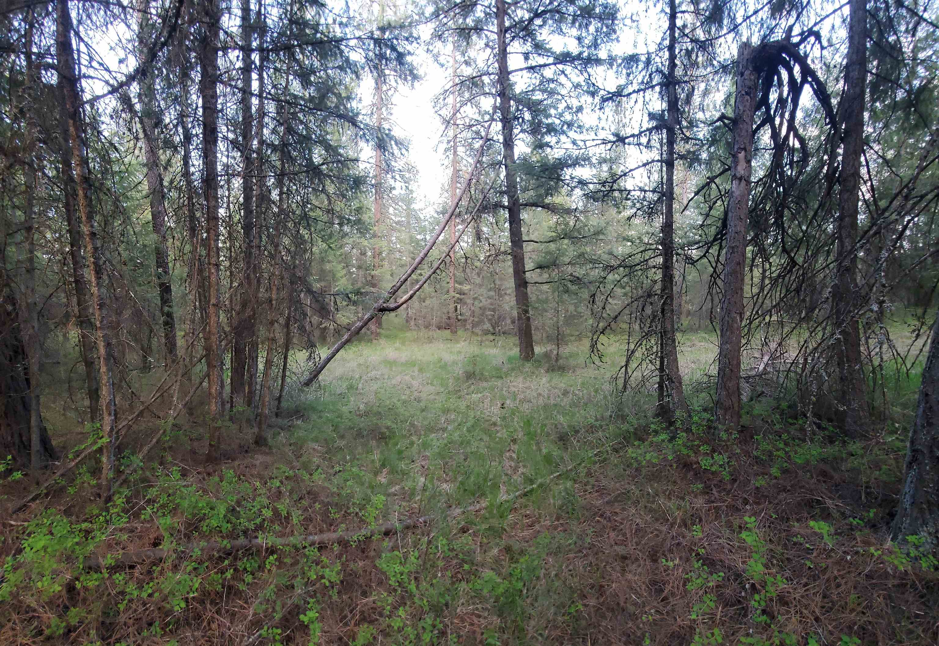 16812 W BIG SKY Ln - Photo 30