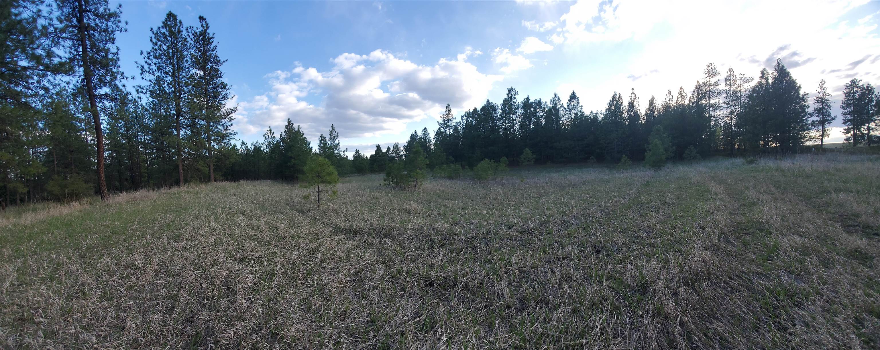 16812 W BIG SKY Ln - Photo 31
