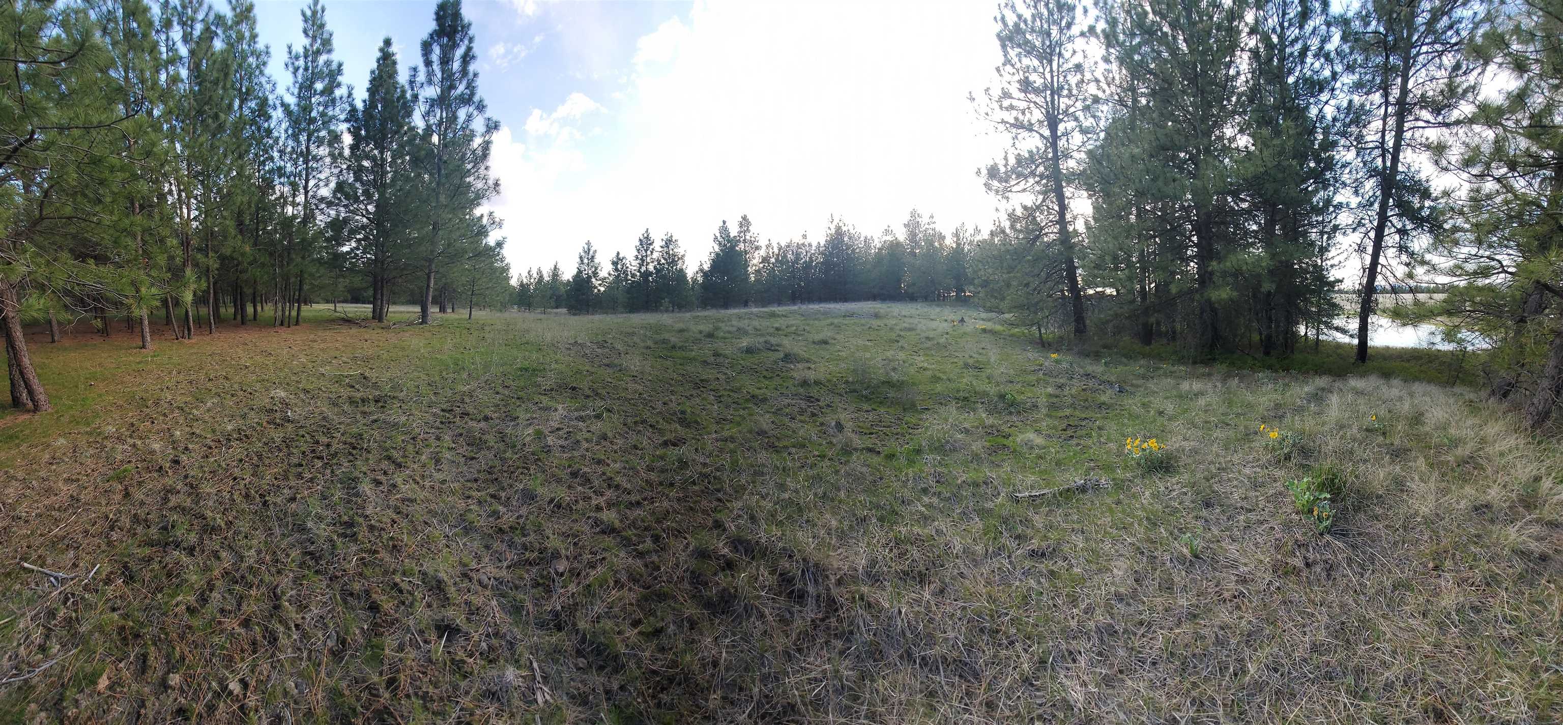 16812 W BIG SKY Ln - Photo 32