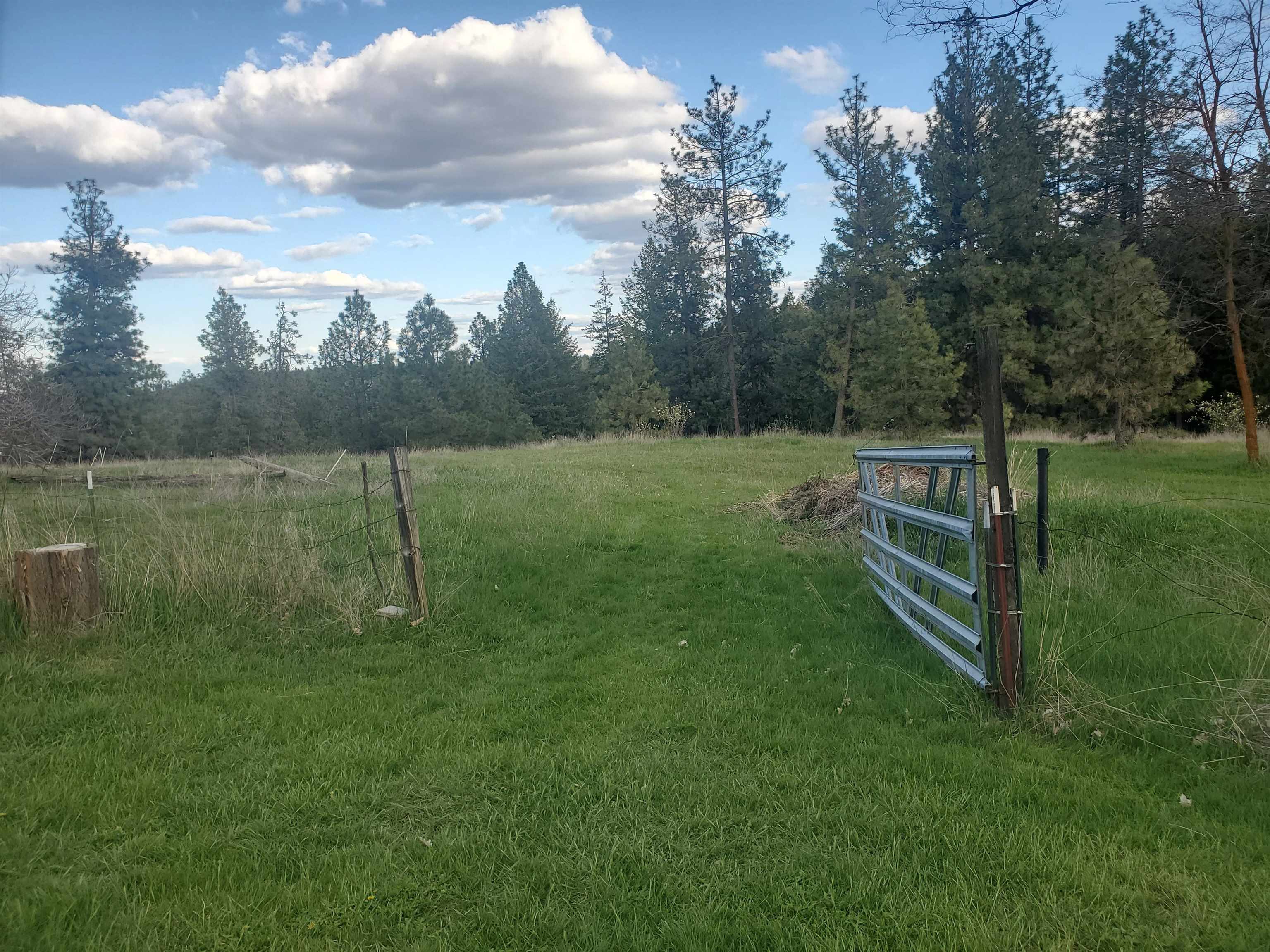 16812 W BIG SKY Ln - Photo 34