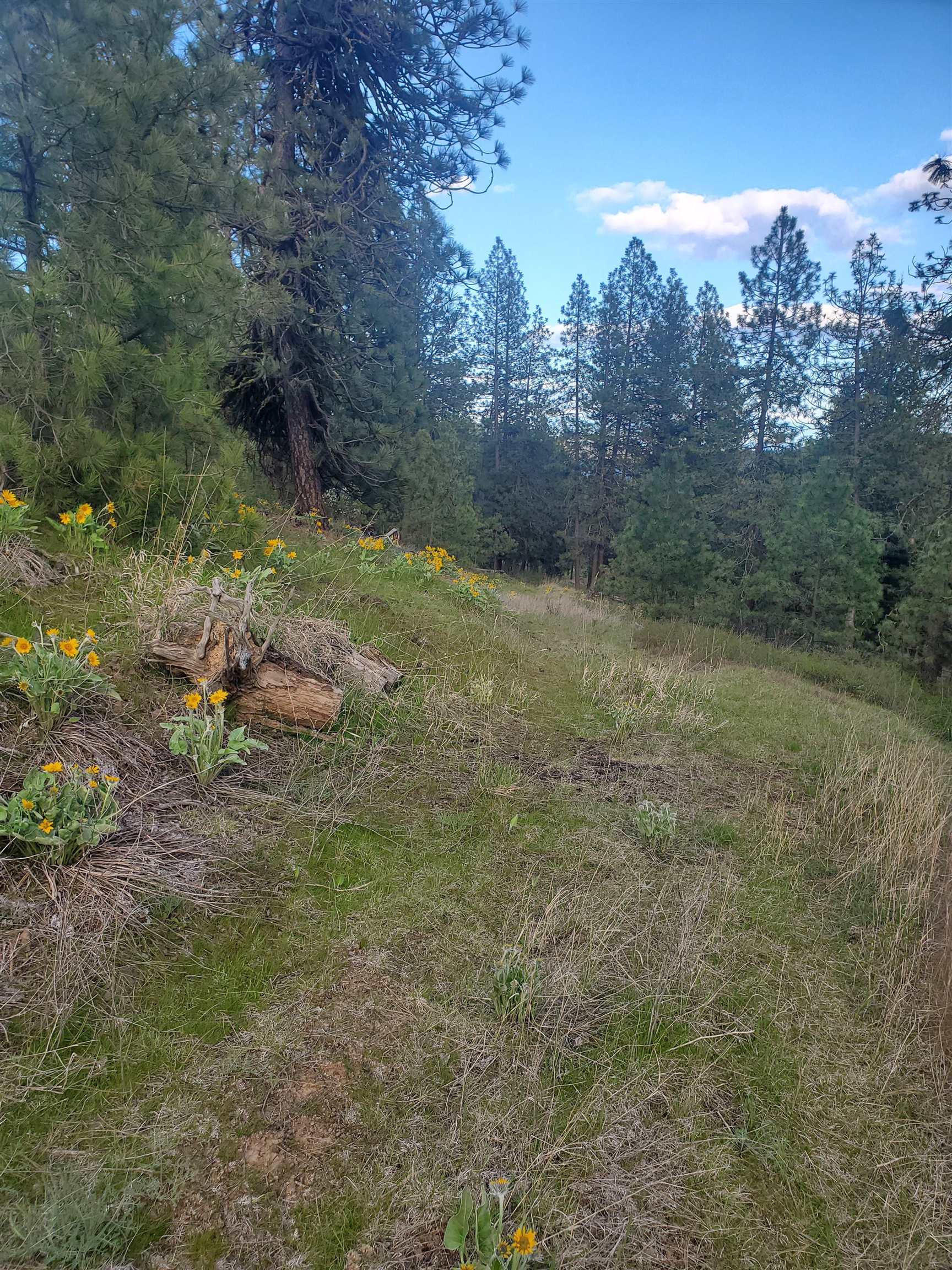 16812 W BIG SKY Ln - Photo 35