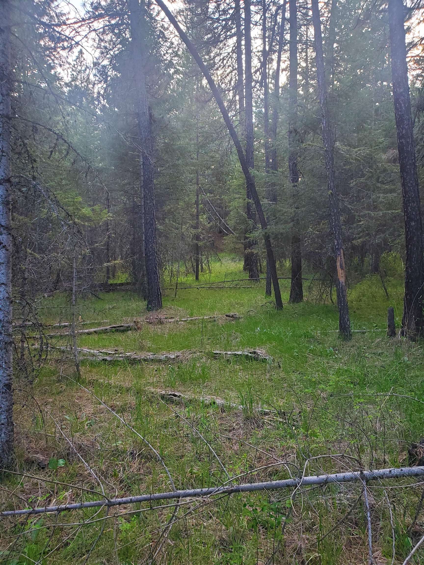 16812 W BIG SKY Ln - Photo 36