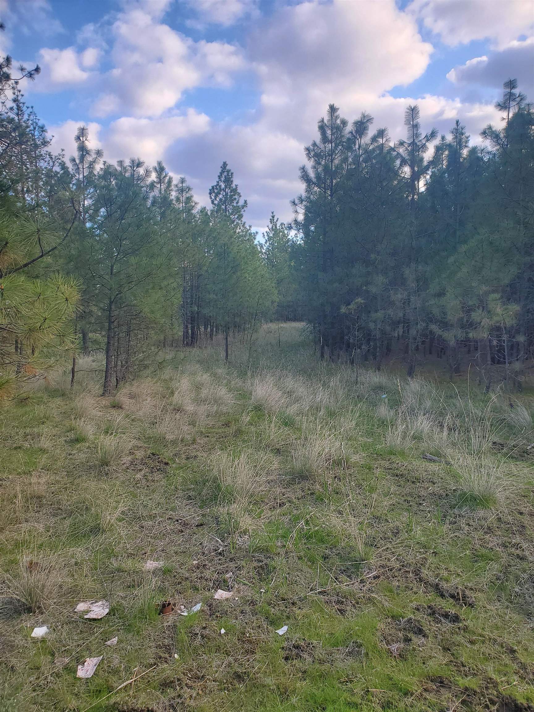 16812 W BIG SKY Ln - Photo 37