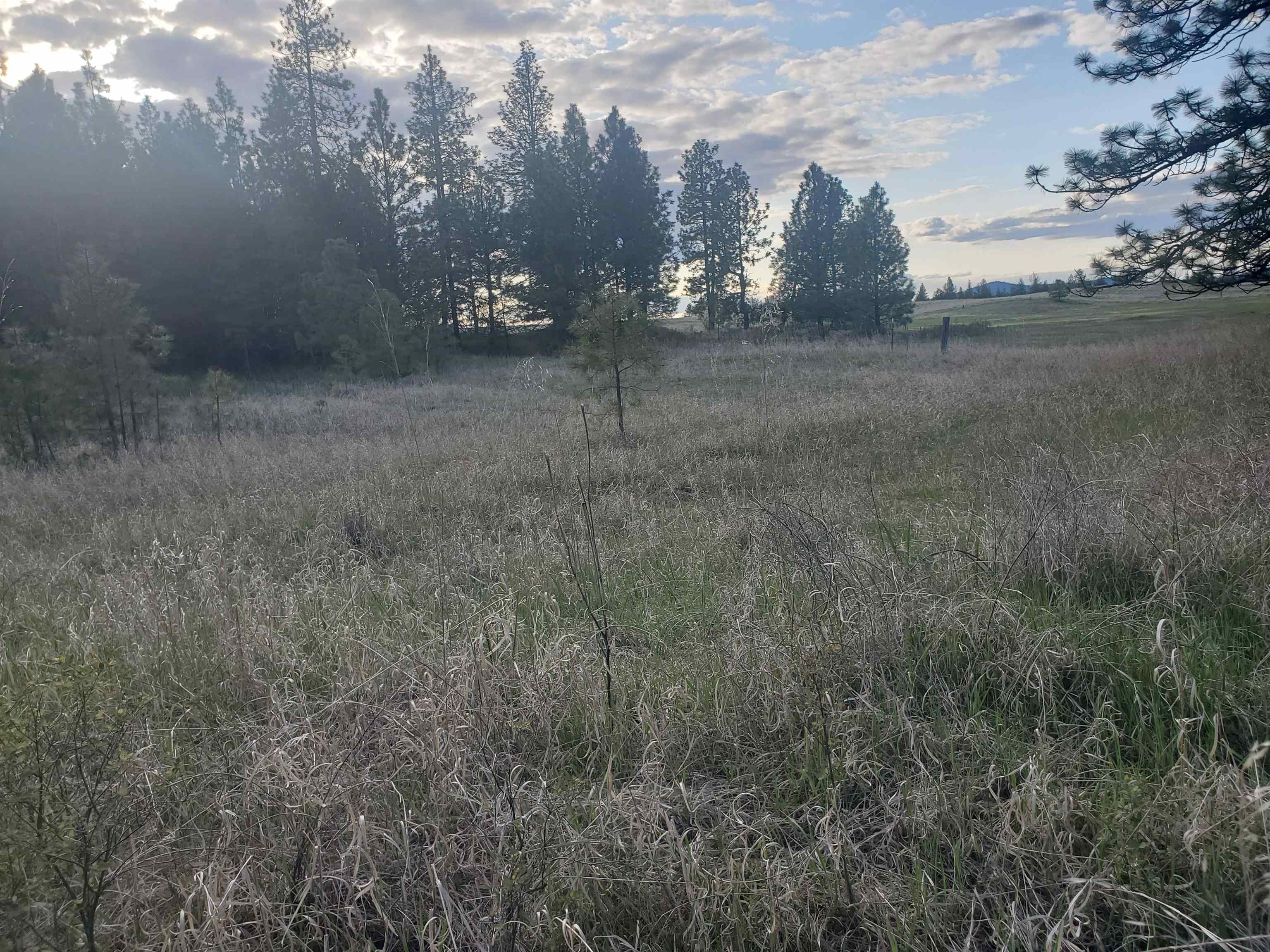 16812 W BIG SKY Ln - Photo 38