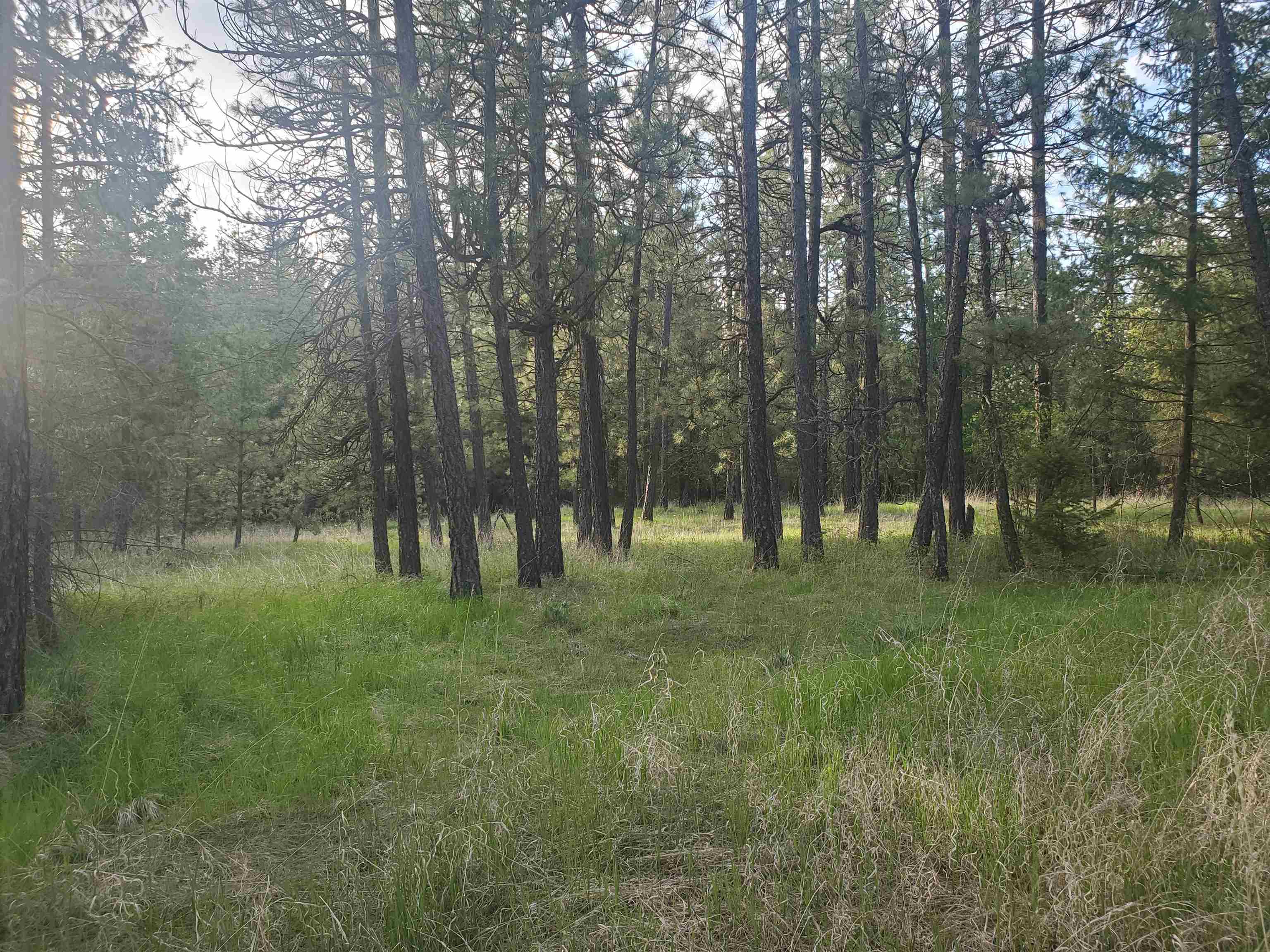 16812 W BIG SKY Ln - Photo 40