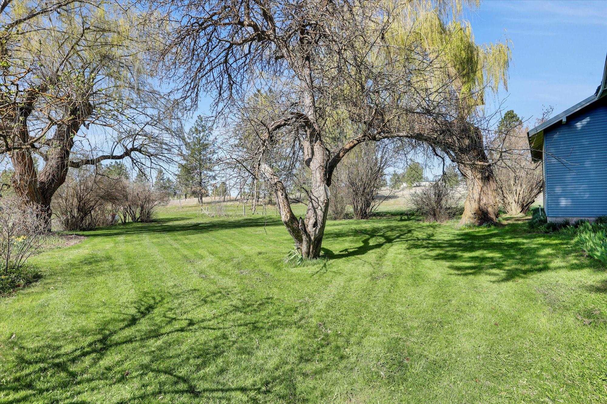 16812 W BIG SKY Ln - Photo 5