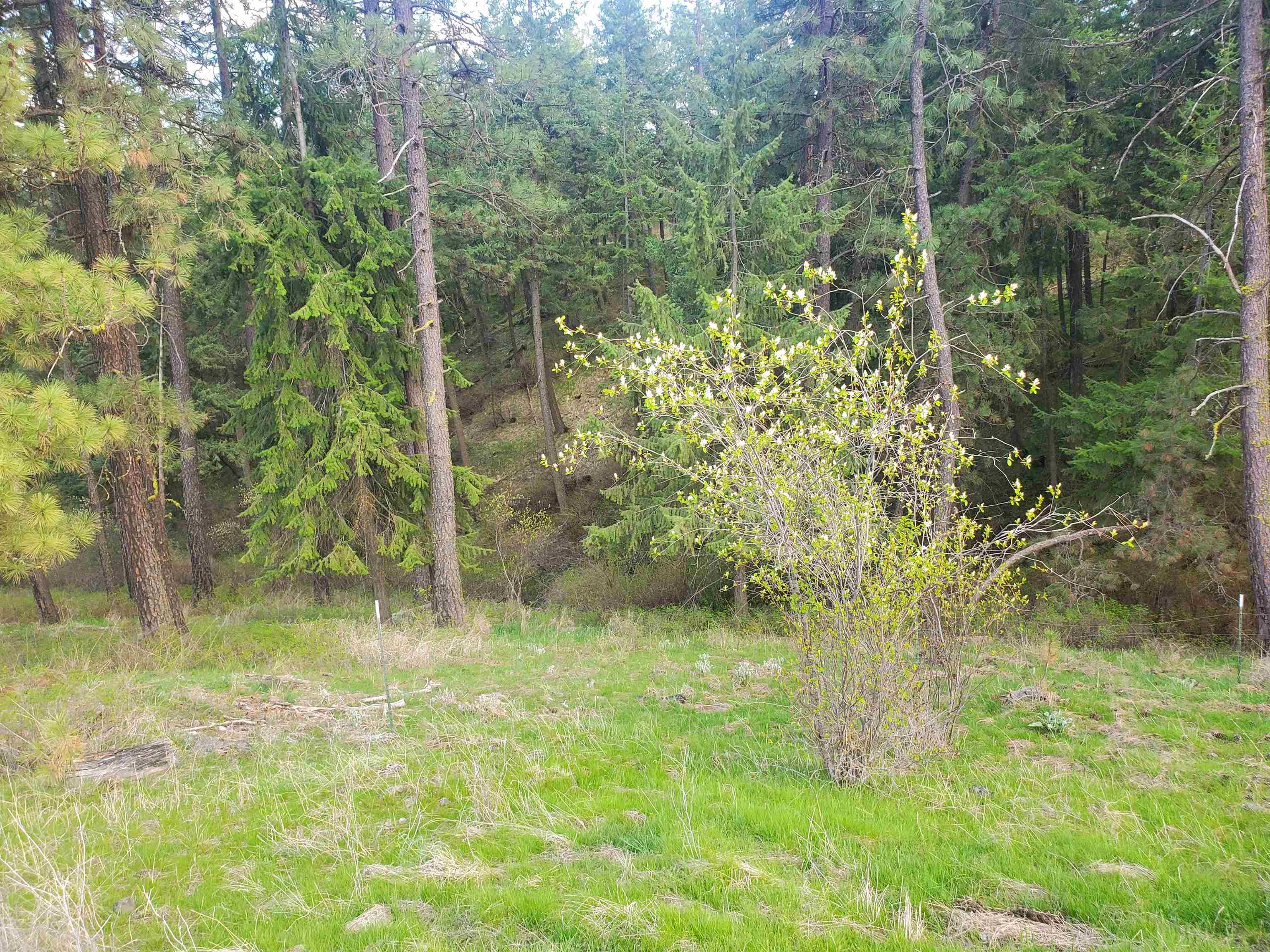 16812 W BIG SKY Ln - Photo 43