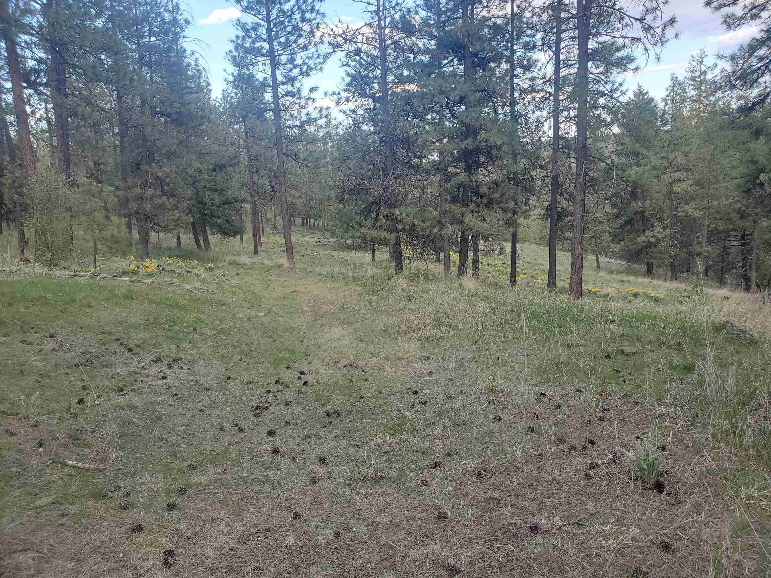 16812 W BIG SKY Ln - Photo 44