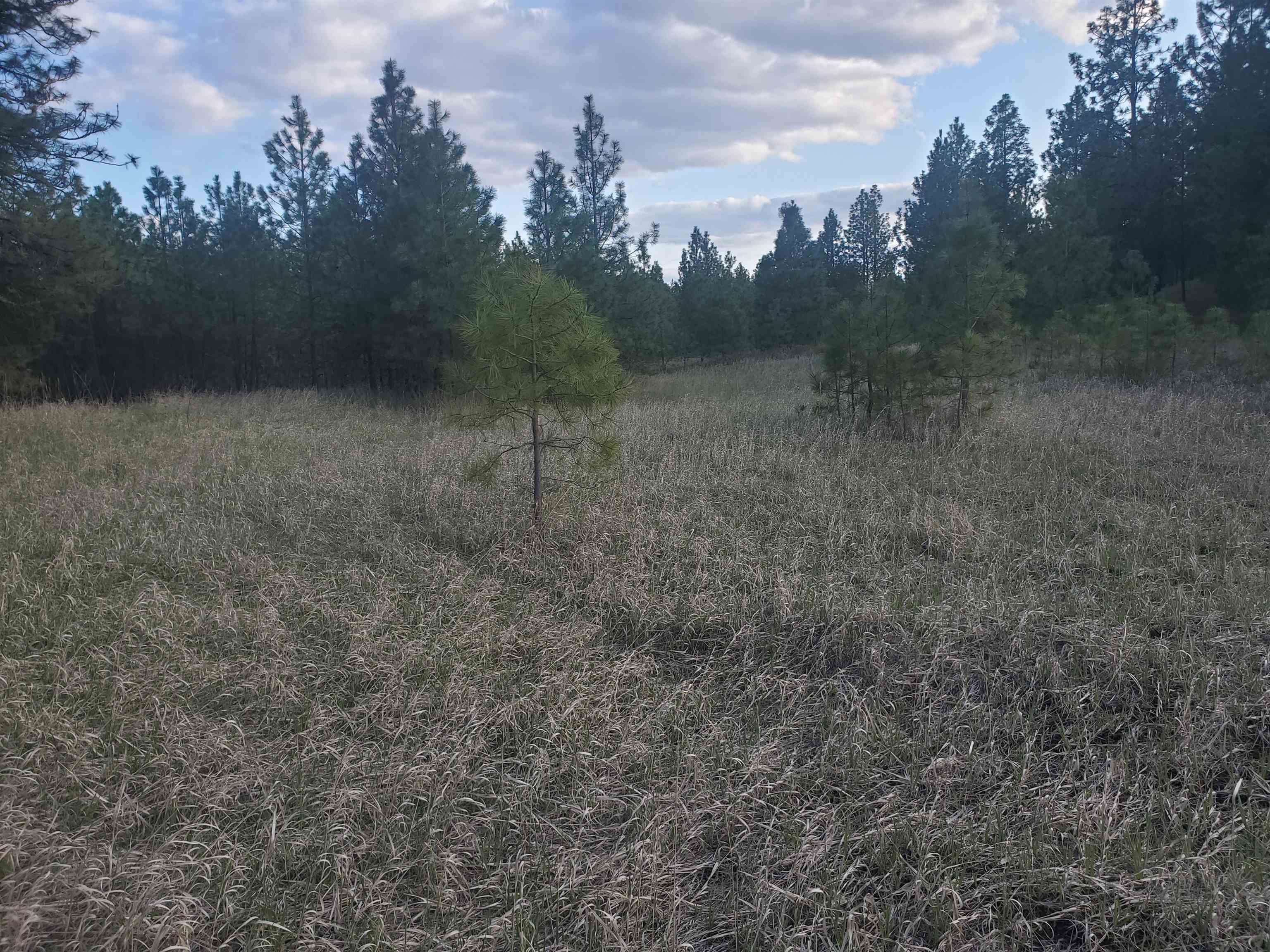 16812 W BIG SKY Ln - Photo 45