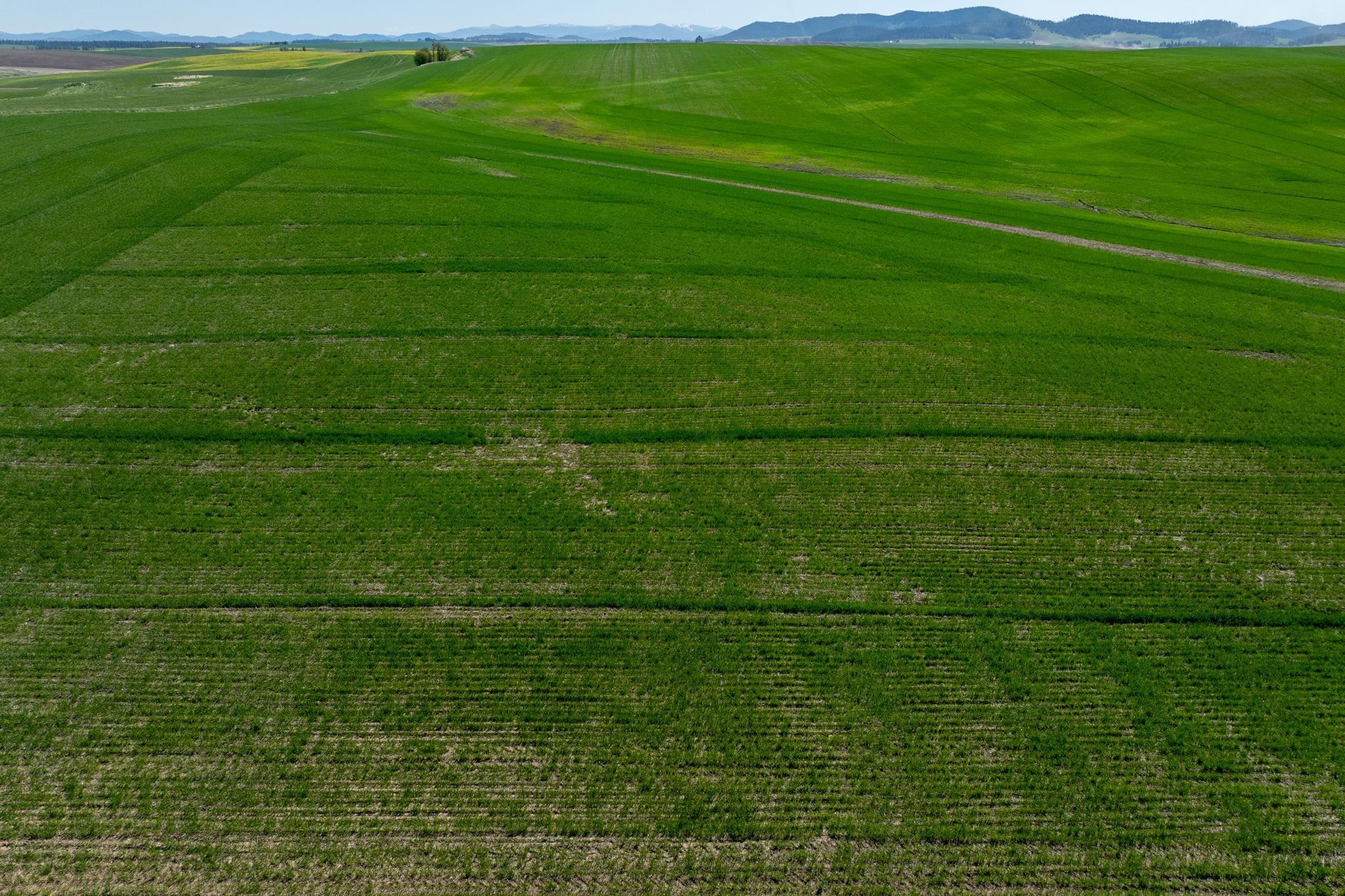 NKA S Starr Rd - Photo 14