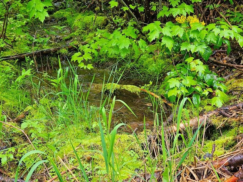 1895 TBD Blue Creek Rd - Photo 2
