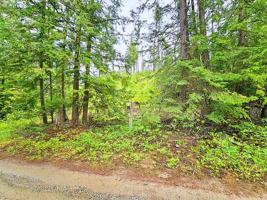 1895 TBD Blue Creek Rd - Photo 11