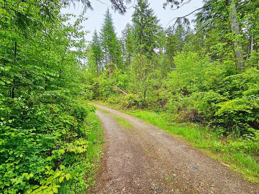1895 TBD Blue Creek Rd - Photo 13