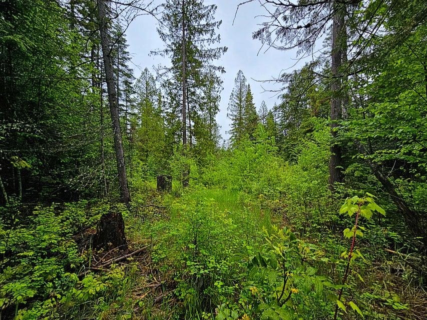 1895 TBD Blue Creek Rd - Photo 14