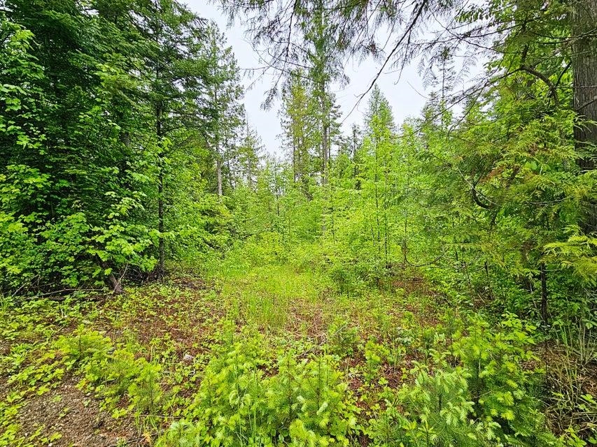 1895 TBD Blue Creek Rd - Photo 15