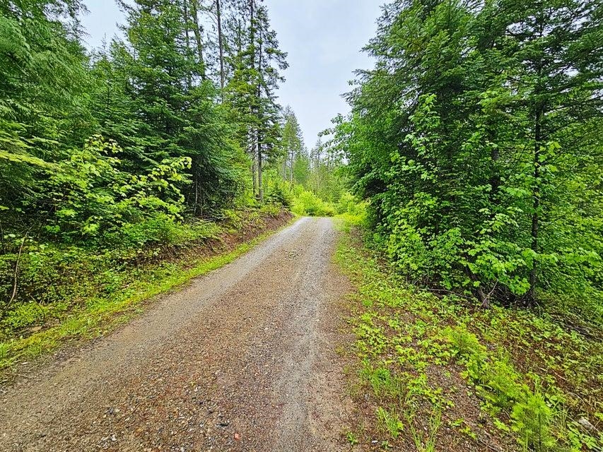 1895 TBD Blue Creek Rd - Photo 4