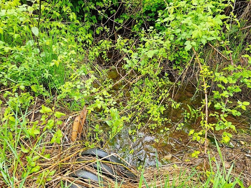 1895 TBD Blue Creek Rd - Photo 6
