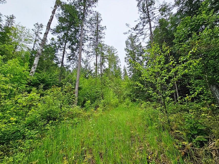 1895 TBD Blue Creek Rd - Photo 7