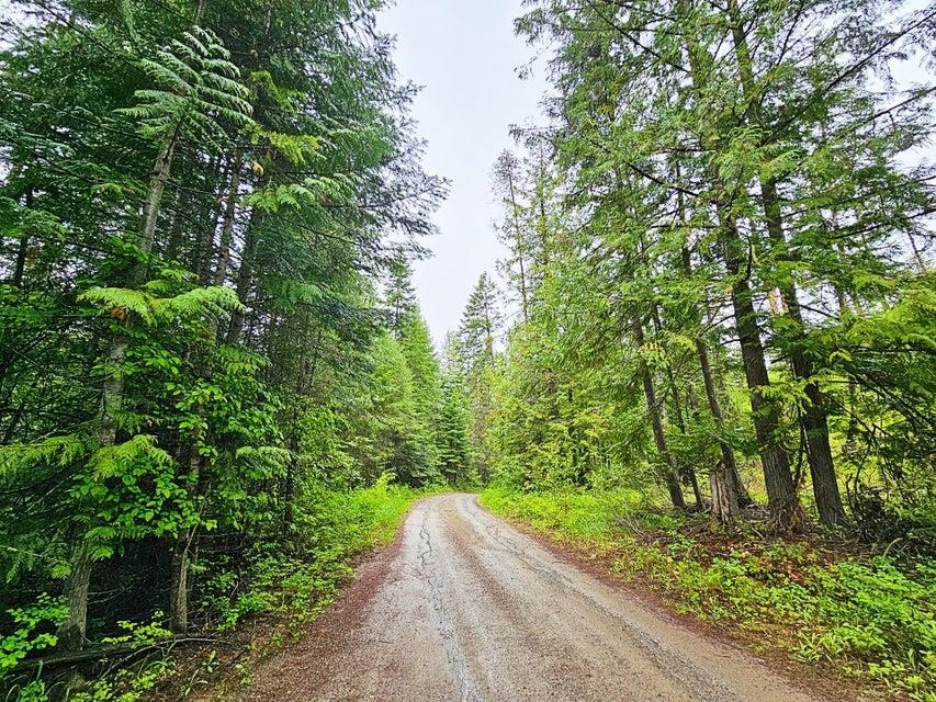 1895 TBD Blue Creek Rd - Photo 9