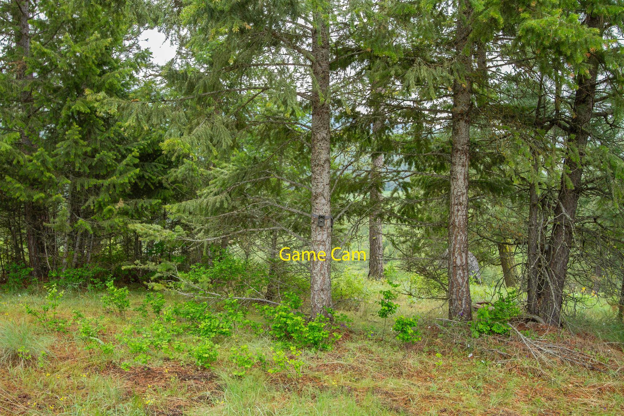 2420 A Cedonia Addy Rd - Photo 6