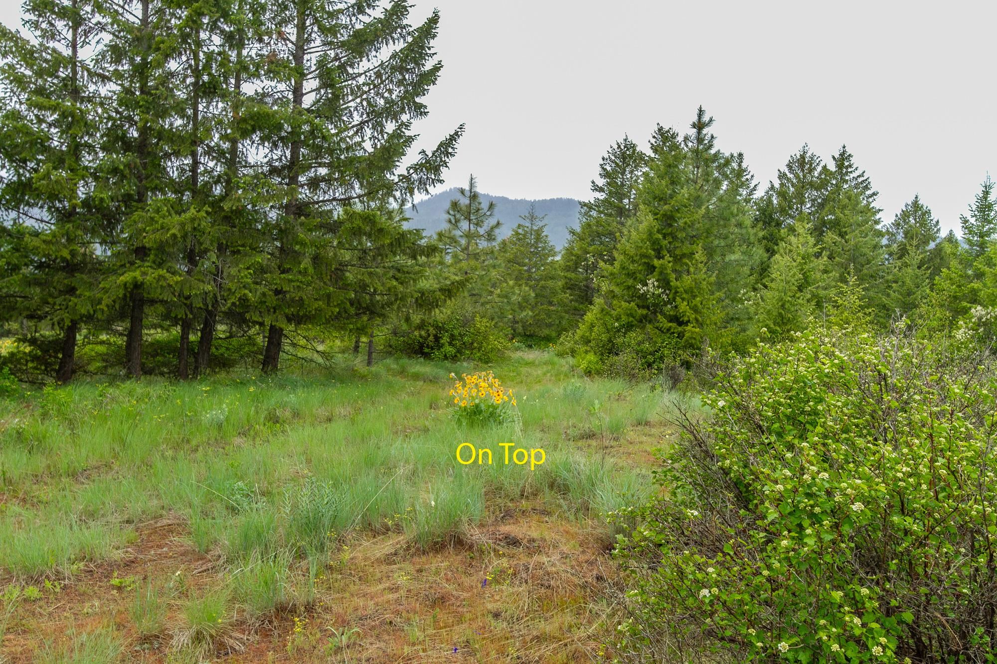 2420 A Cedonia Addy Rd - Photo 7