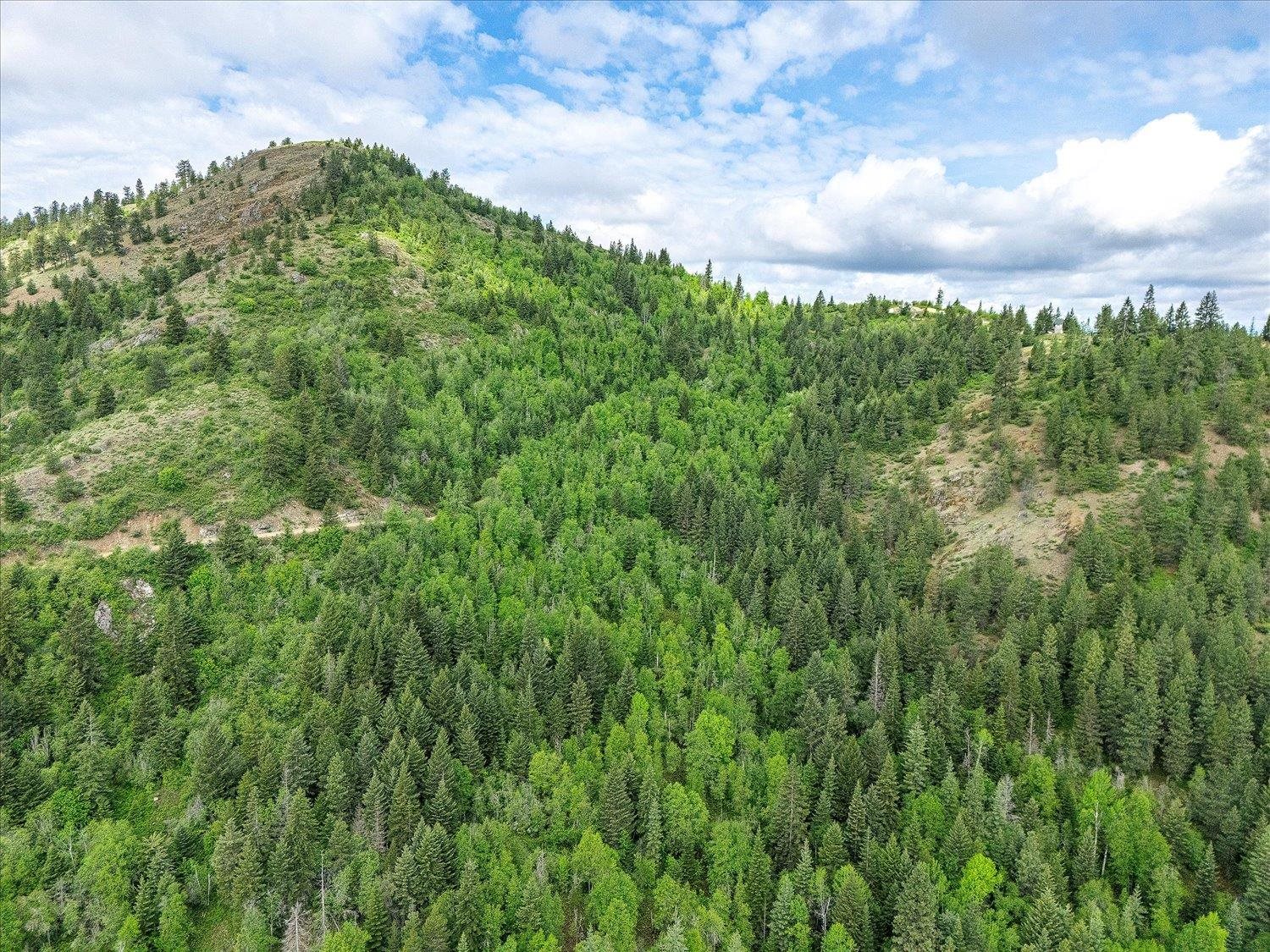 NKA Rocky Mountain Rd - Photo 17
