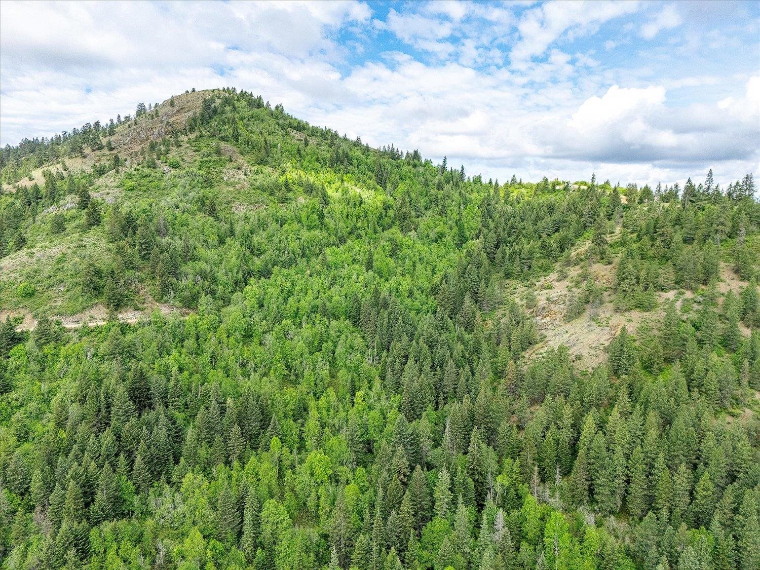 NKA Rocky Mountain Rd - Photo 18