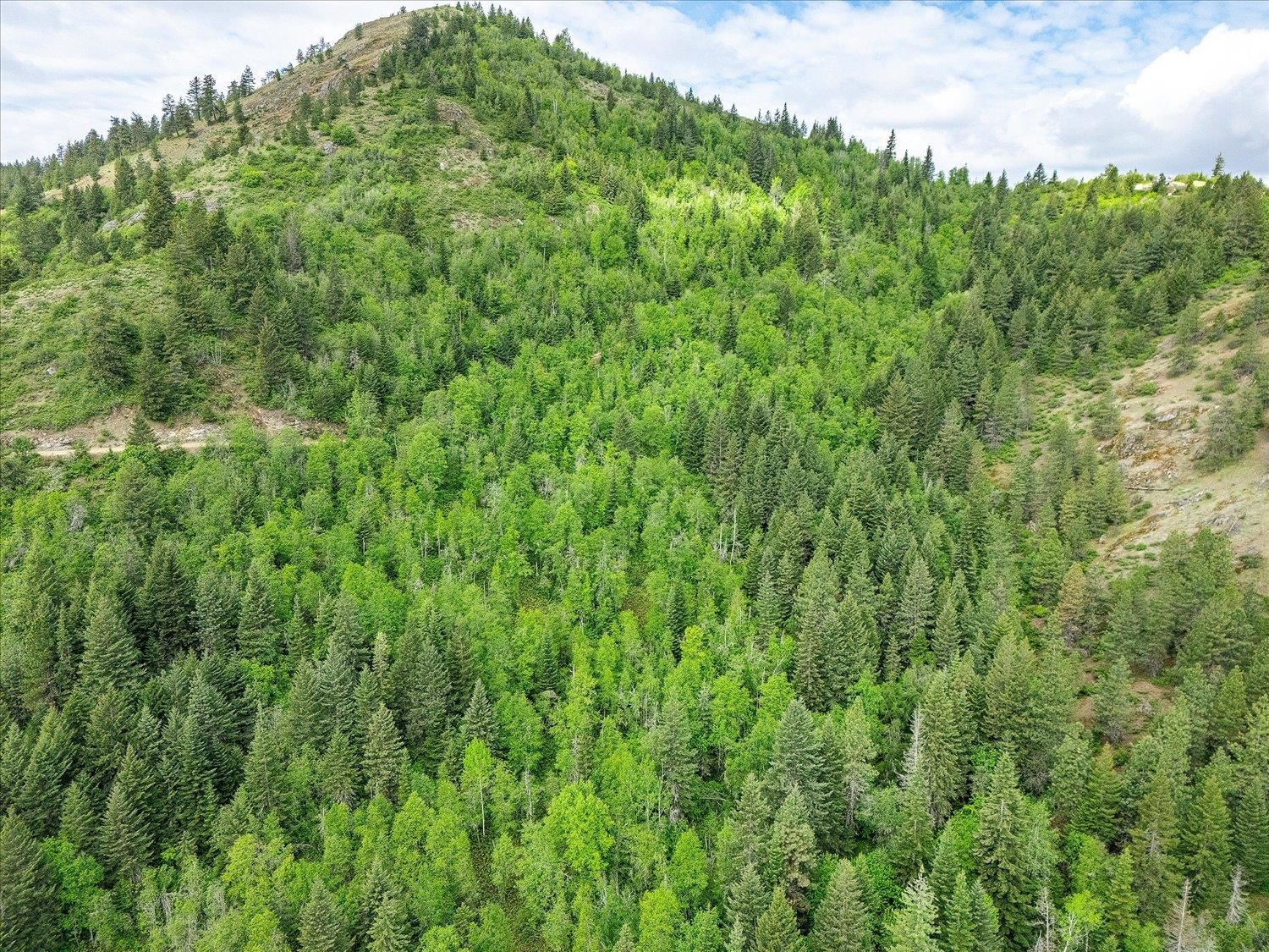 NKA Rocky Mountain Rd - Photo 19