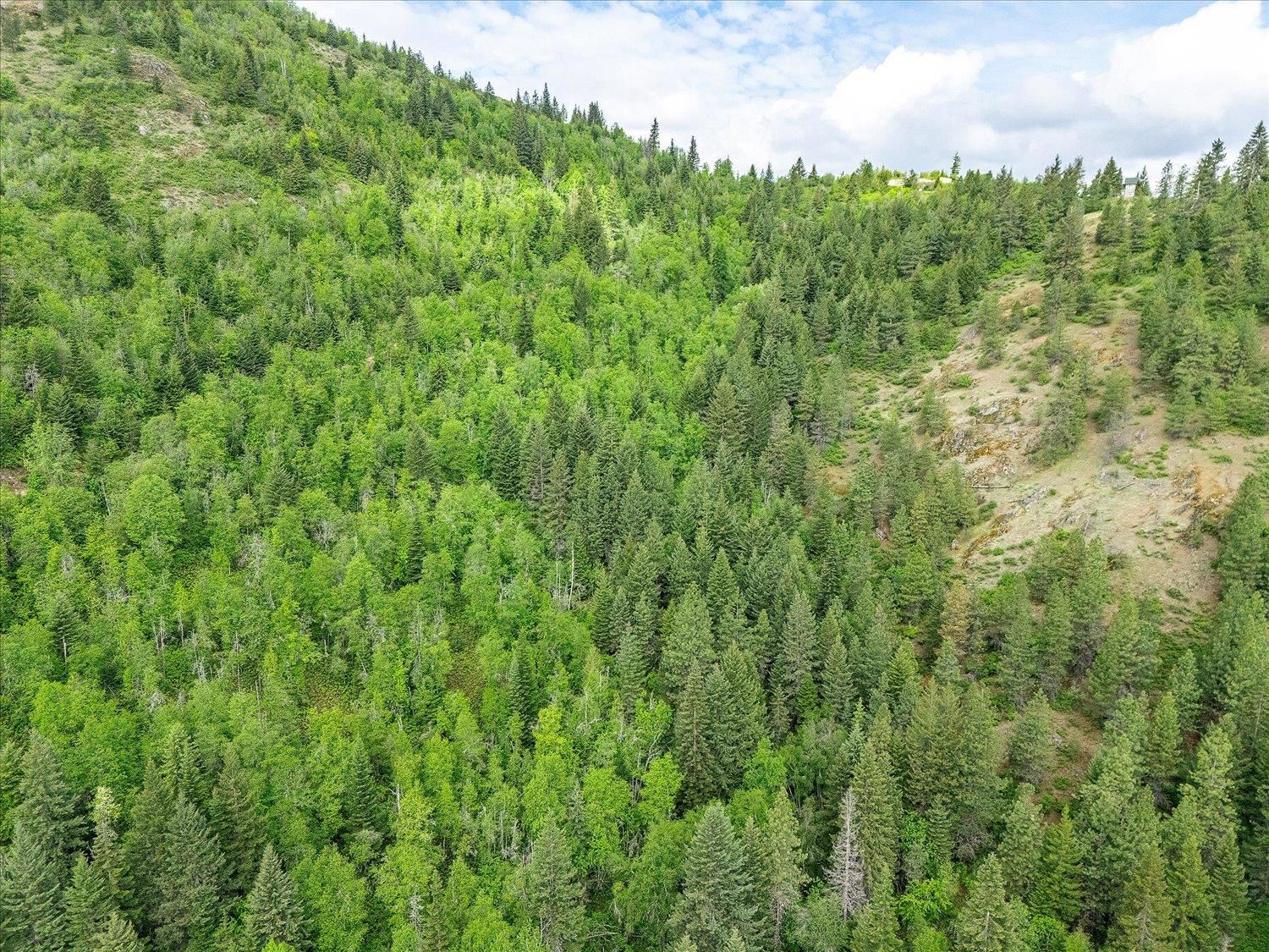 NKA Rocky Mountain Rd - Photo 20