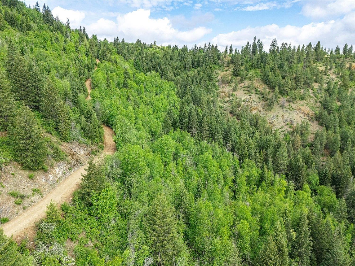 NKA Rocky Mountain Rd - Photo 21