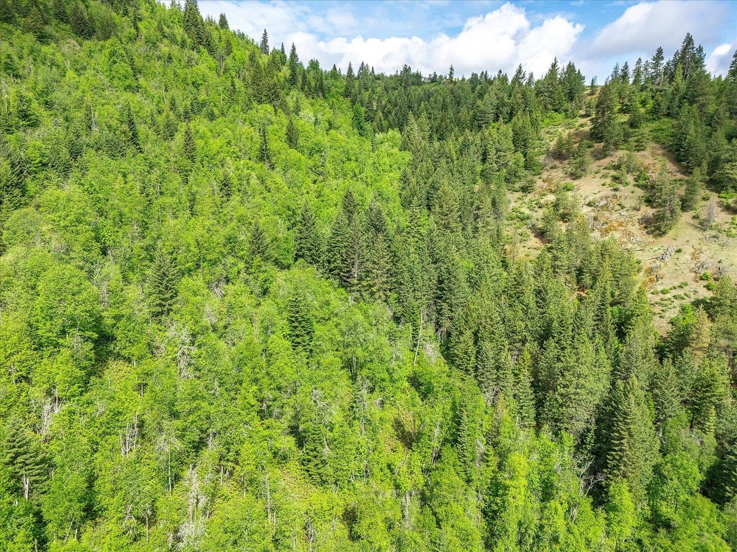 NKA Rocky Mountain Rd - Photo 23