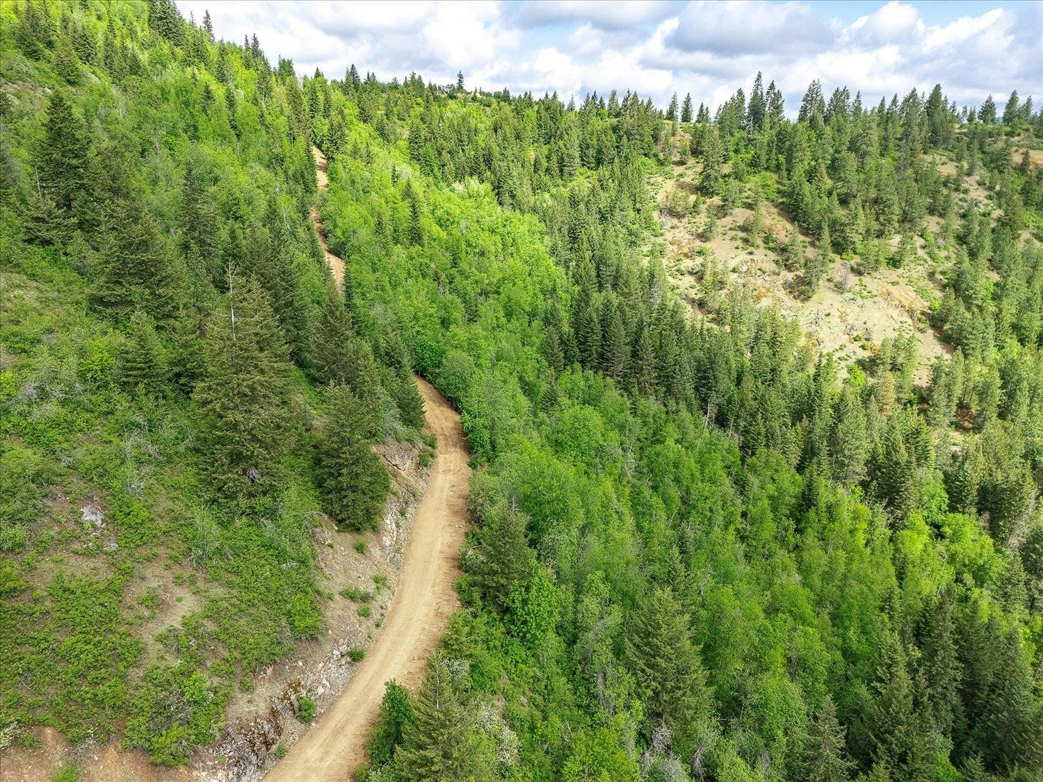 NKA Rocky Mountain Rd - Photo 24