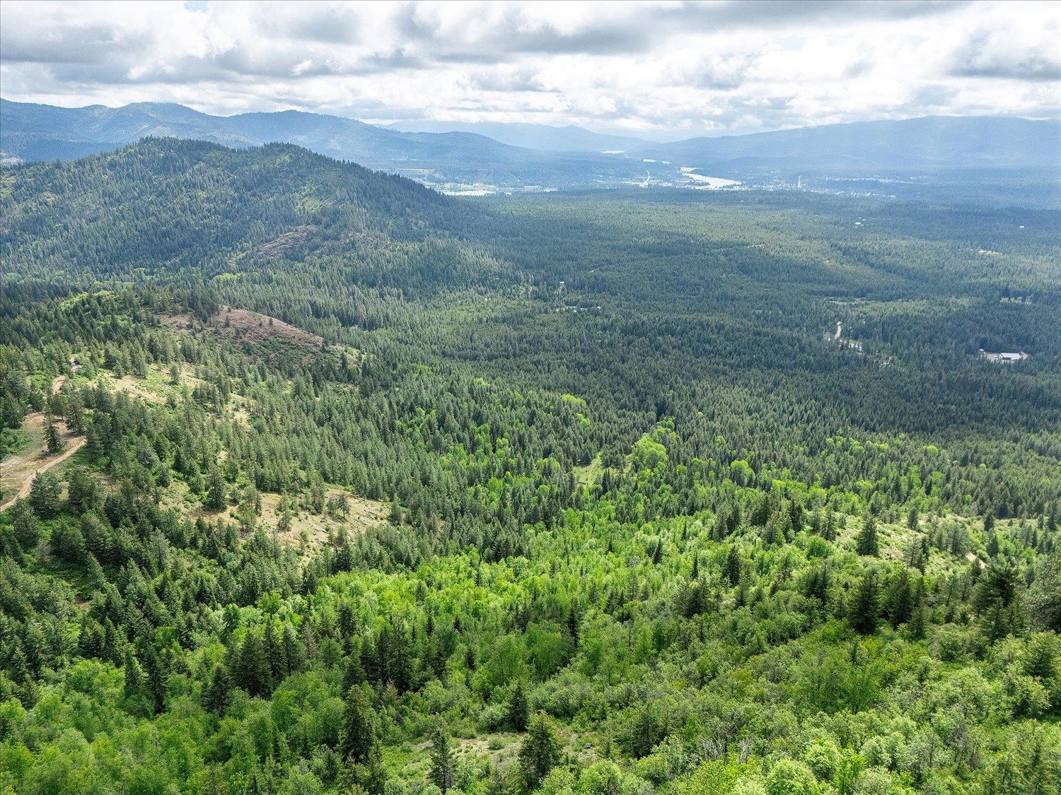 NKA Rocky Mountain Rd - Photo 27
