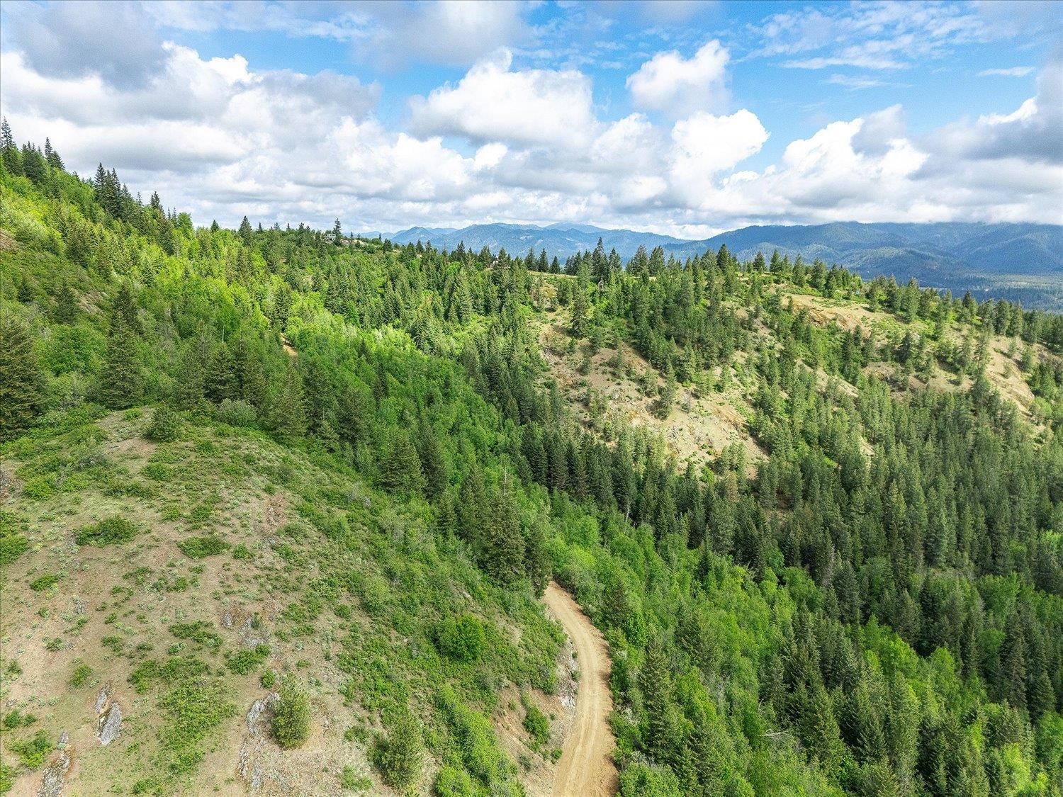 NKA Rocky Mountain Rd - Photo 28