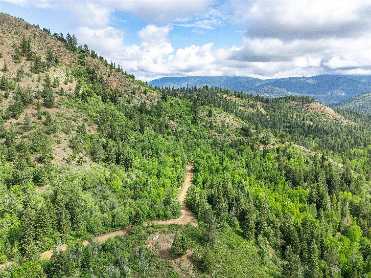 NKA Rocky Mountain Rd - Photo 29
