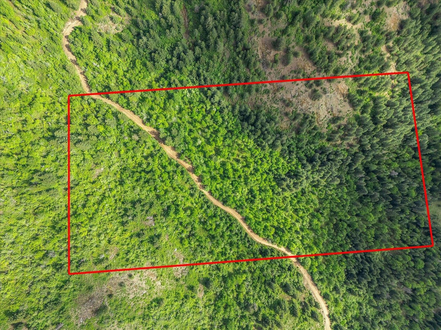 NKA Rocky Mountain Rd - Photo 10