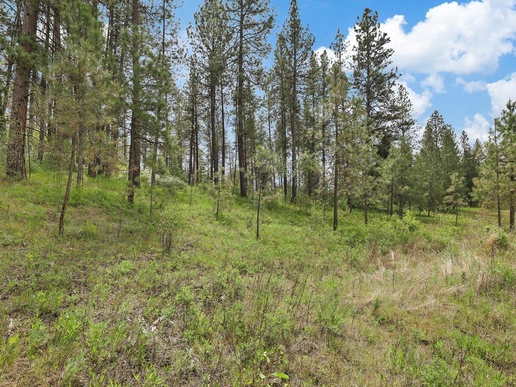9215 S Cheney Spokane Rd - Photo 12